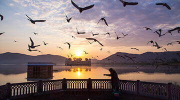 Golden Triangle Tour 6 Nights 7 Days